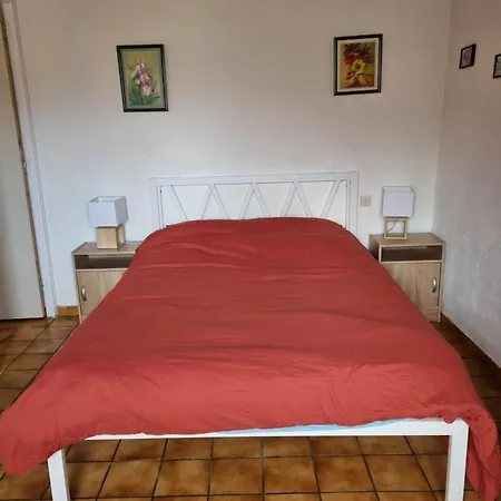 Joli F2 Avec Jolie Terrasse -appt4